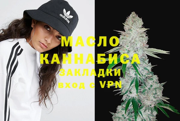 индика Армянск