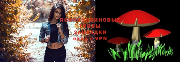 дурь Грязи