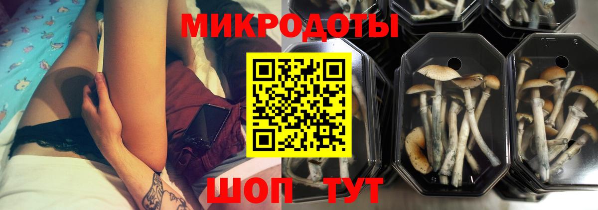 Уварово  закладки  Вход с VPN  Галлюциногенные грибы прущие грибы 